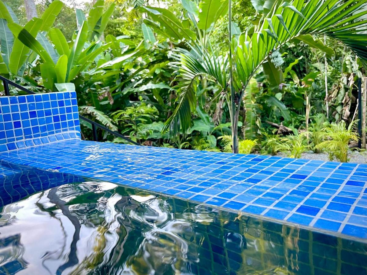 Villa Joeyshe- New Luxury Villa With Pool & Ac Puerto Viejo de Talamanca Eksteriør bilde